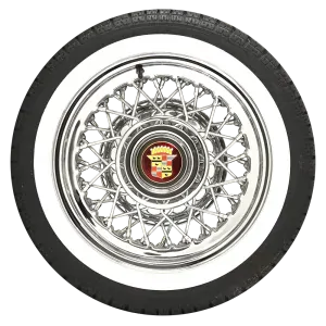 Lemy pneumatik černo/bílé 15" ATLAS